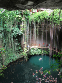 Baden in der Cenote "Ik Kil"