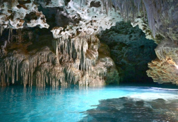 Faszinierende Unterwelt