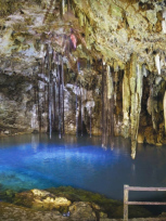 Faszinierende Unterwelt